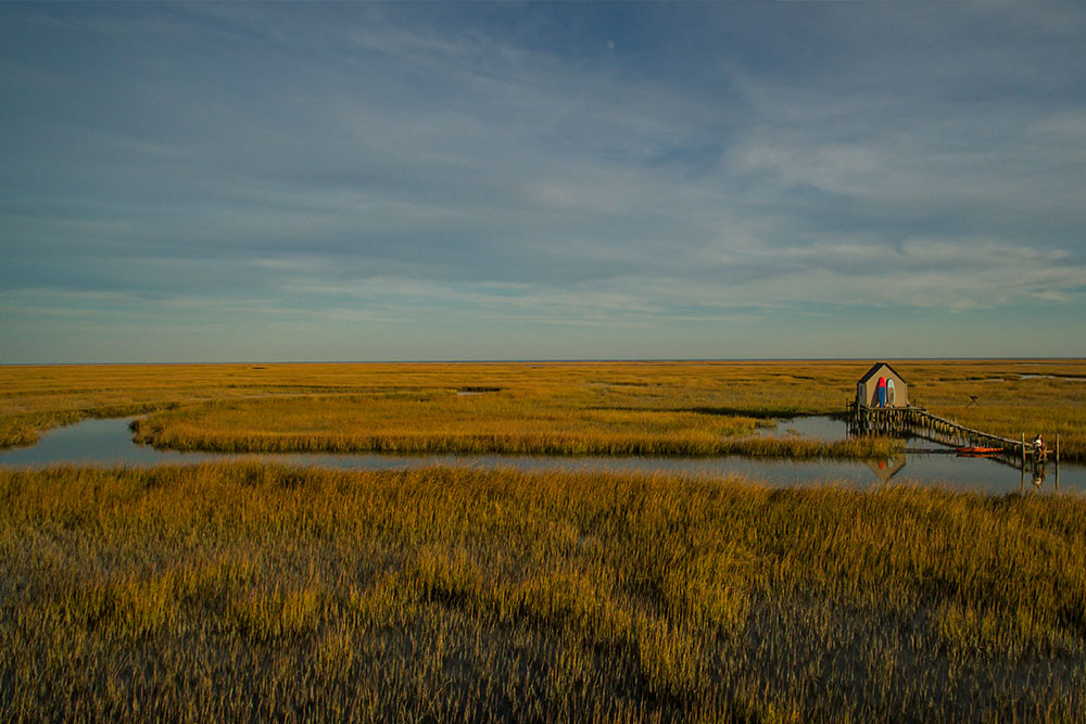 Virginia Coast Reserve, Northampton County