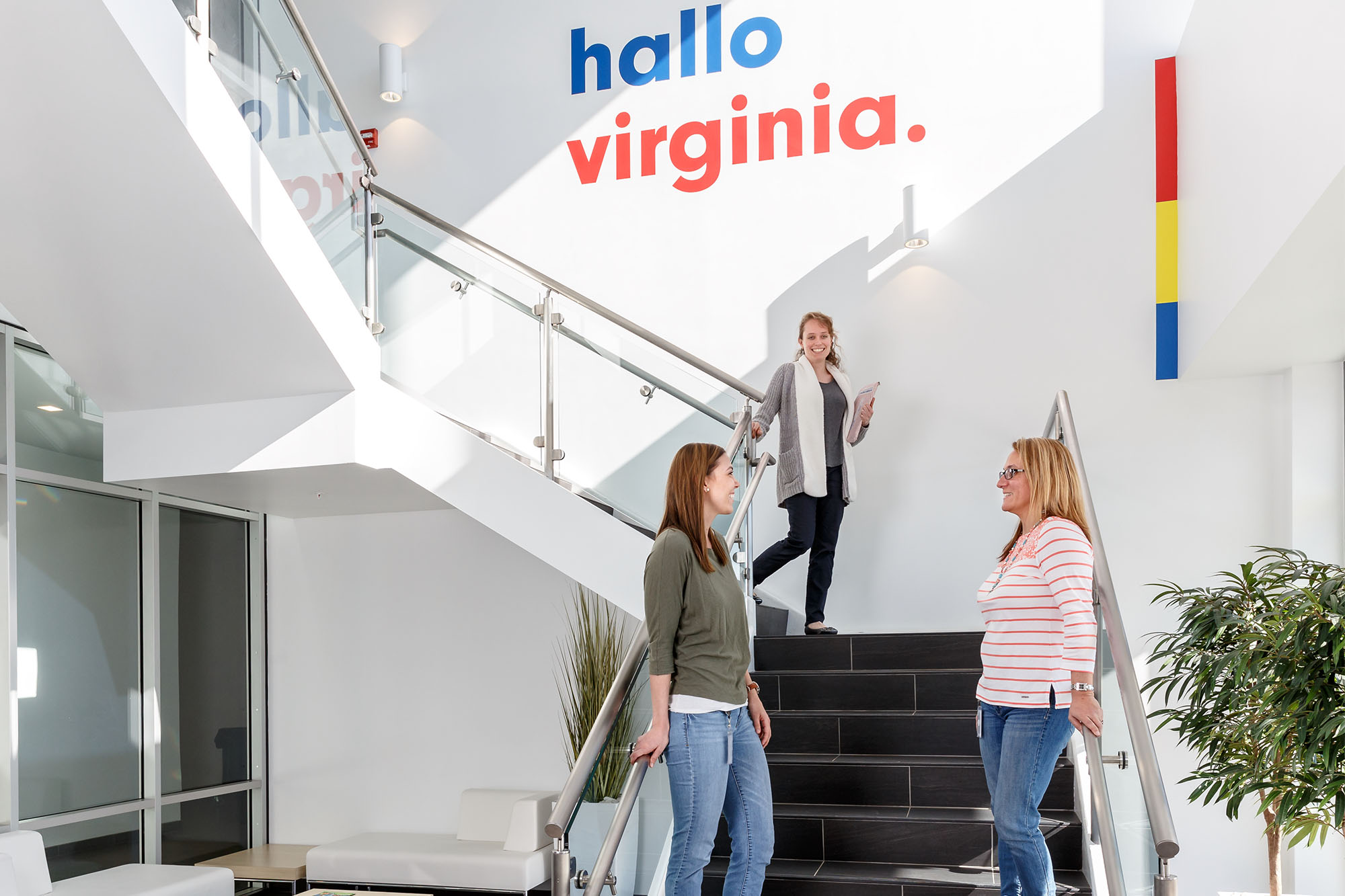 Lidl U.S., Arlington County